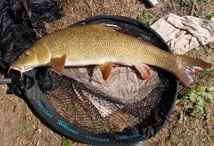 Image result for Plough Angling Society