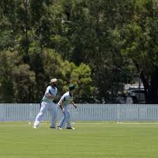 Image result for Rockhampton Cricket Club