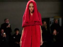 Image result for Arnika