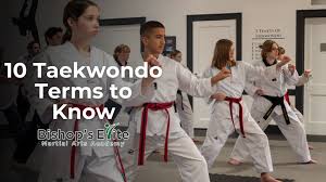 Image result for COMBAT TAEKWONDO