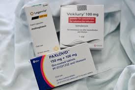 Attēlu rezultāti vaicājumam “Capsus ater imago”