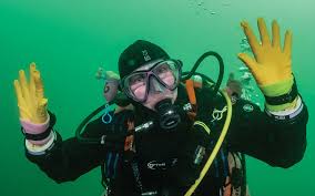 Image result for Surrey Aquanauts B S A C 0689