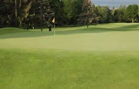 Image result for Flint Golf Club