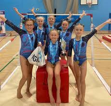 Image result for Forest Of Dean Gymnastics Club
