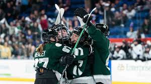 Image result for Fleet Hockey Club