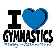 Image result for Custom Gymnastics Club