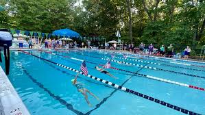 Image result for Gosport Dolphins Swimming Club