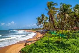 Image result for goa beaches