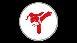 Image result for Absolute tae kwon do association