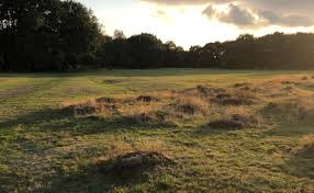 Image result for Thames Ditton & Esher Golf Club