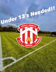 Image result for Thackley A F C Juniors