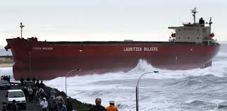 Image result for Pasha bulker