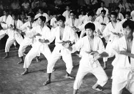 Image result for Caversham Karate Club SSKA