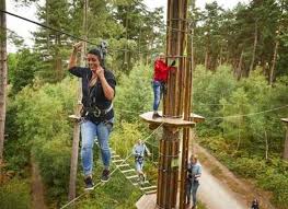 Image result for Go Ape! Alice Holt