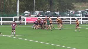Image result for Newcastle(Staffs) Rugby Union Football Club