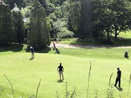 Image result for Avro Golf Club