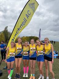 Image result for Bracknell Ac