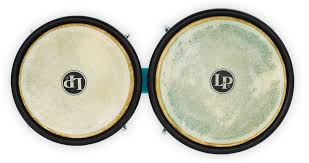 Image result for Bongos Disc Golf Club