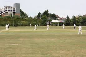 Image result for Kingstonian Cricket Club