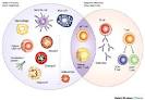 <b>Inmunidad</b> Innata <b>Inmunidad</b>
