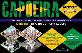 Image result for Capoeira Classes
