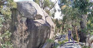 Image result for Blackhill Bounders