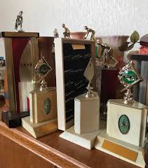 Image result for Balmoral Bowls Club