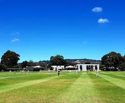 Image result for Old Dorkinian Cricket Club