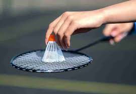 Image result for Angel Centre Badminton Club