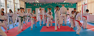 Image result for Twyford Higashi Karate Club