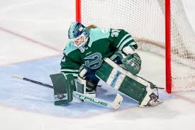 Image result for Fleet Hockey Club