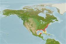 Image result for Leiostomus xanthurus