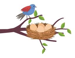 Attēlu rezultāti vaicājumam “nest”