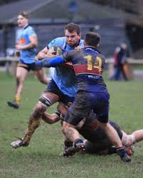 Image result for Teddington Rfc