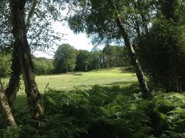 Image result for Brokenhurst Manor Golf Club