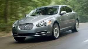Image result for Silver Fox 2008 Jaguar