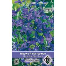 Image result for Consolida regalis