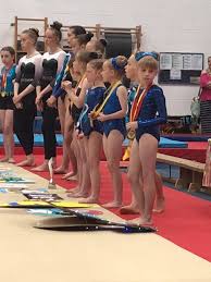 Image result for Redcar School Of Gymnastics