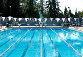 Image result for BRIGHOUSE SWIMMING CLUB
