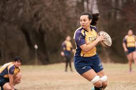 Image result for Furness Rugby Union Football Club Ltd