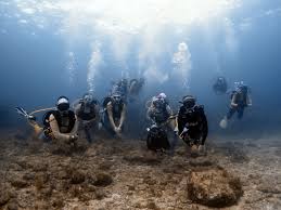 Image result for Seabug Divers
