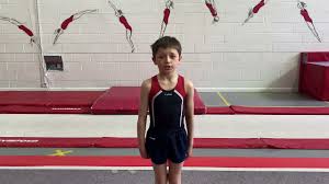 Image result for City Of Newcastle Gymnastics Academy