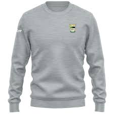 Image result for An Riocht Gaa Club