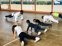 Image result for HEIWA SHOTOKAN KARATE CLUB
