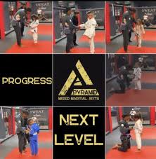 Image result for Pyramid martial arts