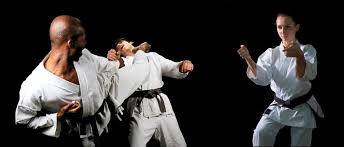 Image result for Woodley Karate Club