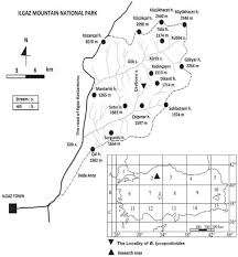 Attēlu rezultāti vaicājumam “Barbilophozia lycopodioides”