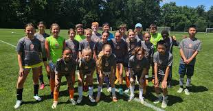 Image result for Netherne Community Amateur Sports Club