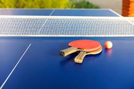 Image result for Table Tennis