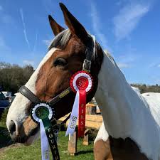 Image result for Elstead Riding Club